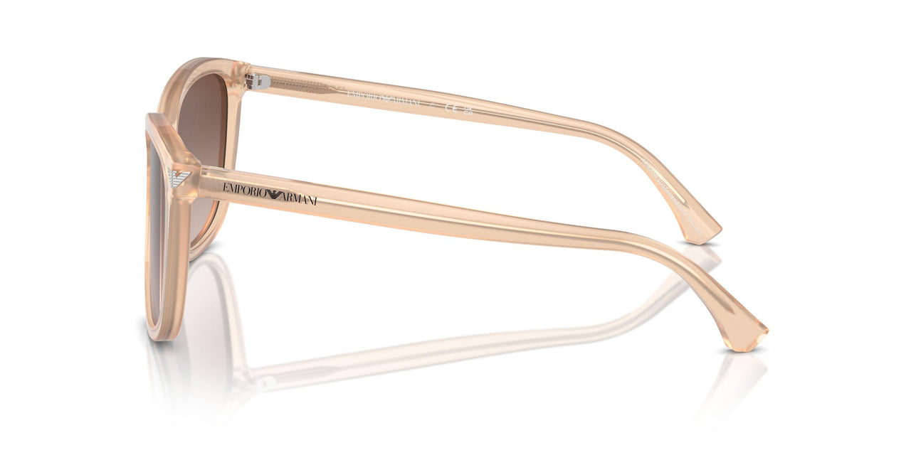 609813 - Brown - Brown Gradient