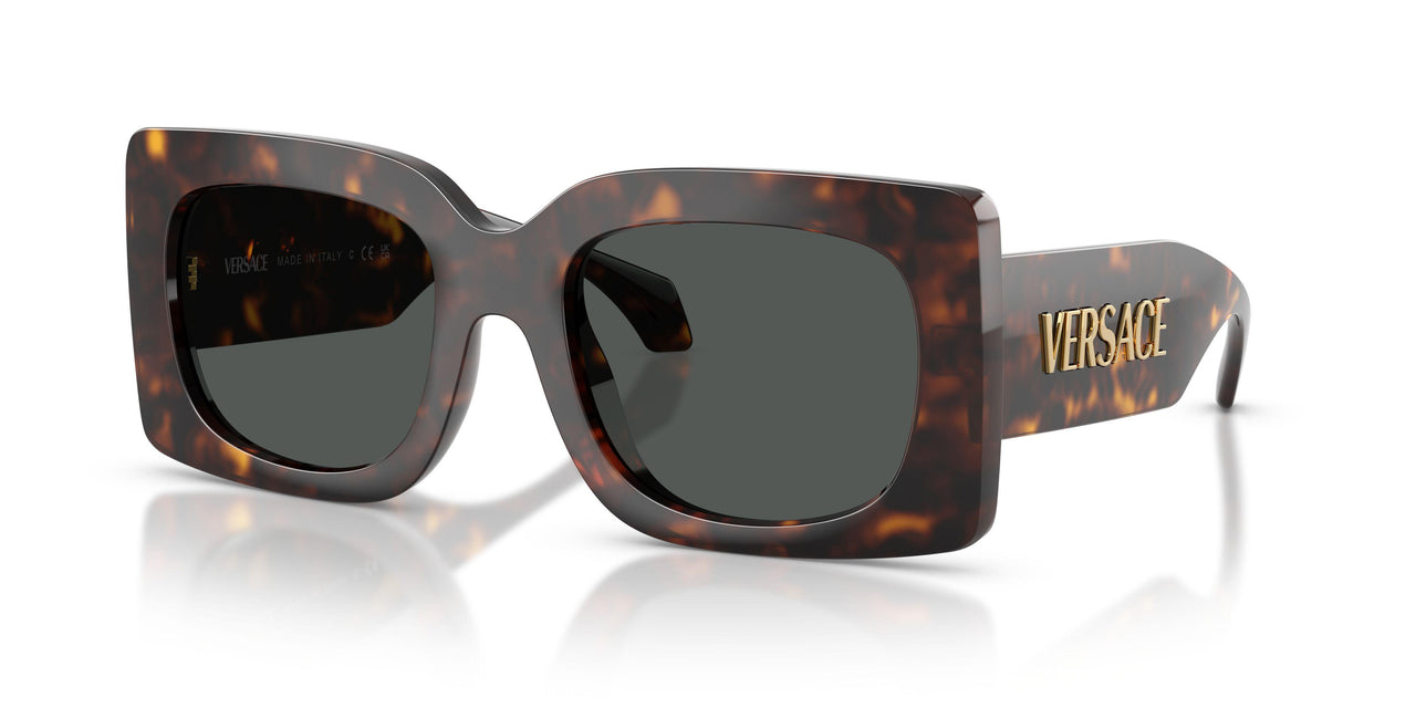 108/87 - Tortoise - Dark Grey