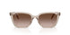 682713 - Brown - Light Brown Gradient Dark Brow