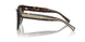 801551 - Tortoise - Clear Gradient Brown