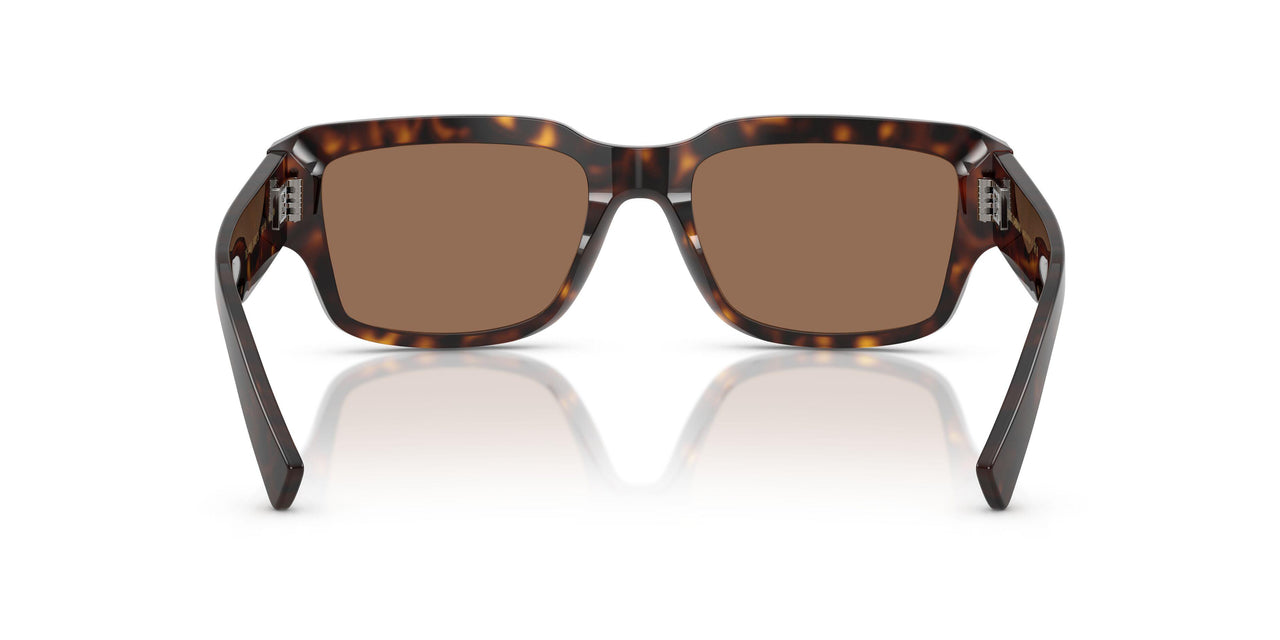 502/73 - Tortoise - Dark Brown