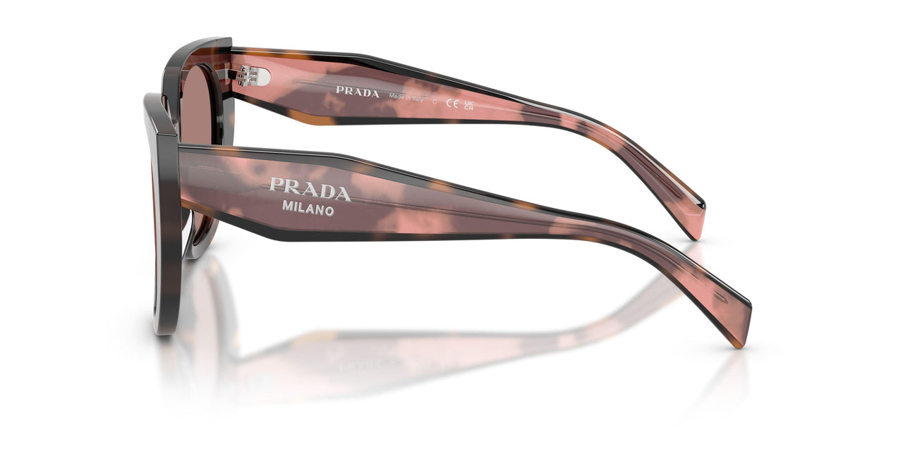 23A60B - Tortoise - Light Brown