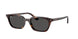 Ray-Ban Zaya 4456 Sunglasses