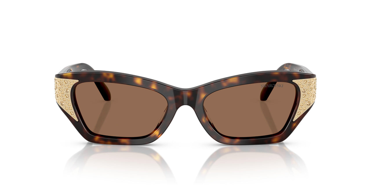 100273 - Brown - Dark Brown