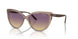 294070 - Light Brown - Yellow Gradient Violet