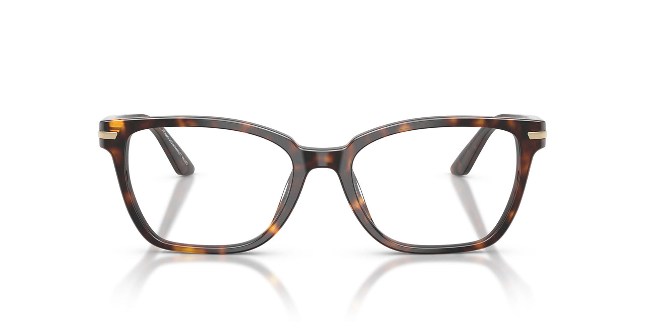 5026 - Tortoise
