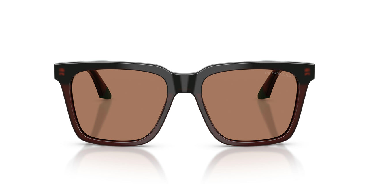631573 - Brown - Brown