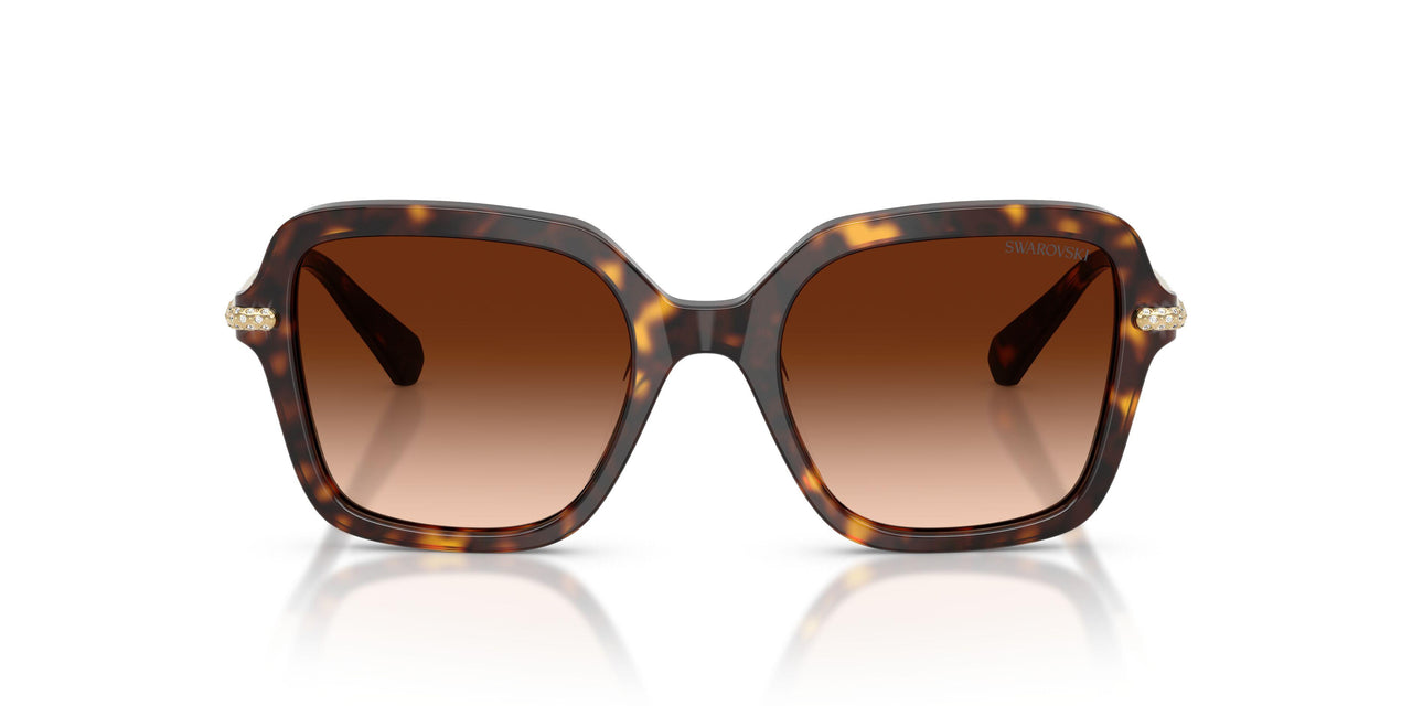100274 - Tortoise - Gradient Brown