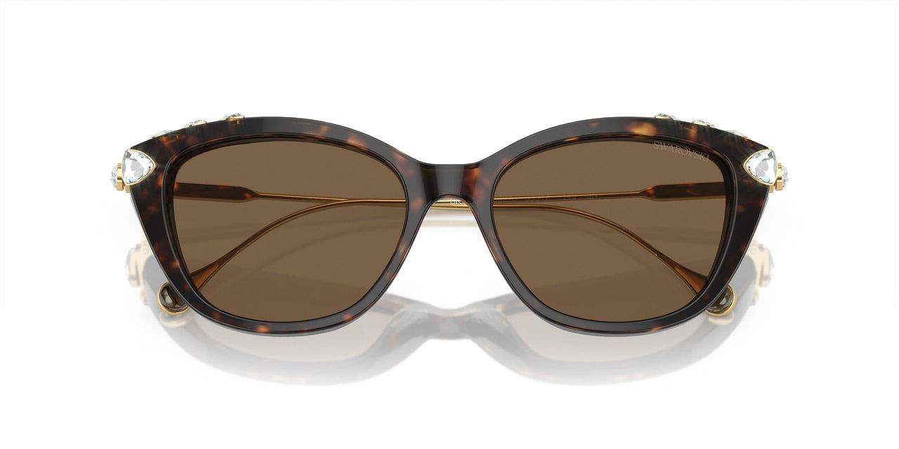 100273 - Tortoise - Dark Brown