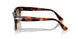 116051 - Brown - Gradient Brown