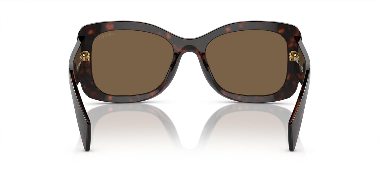 16N5Y1 - Brown - Dark Brown Polar