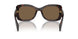 16N5Y1 - Brown - Dark Brown Polar