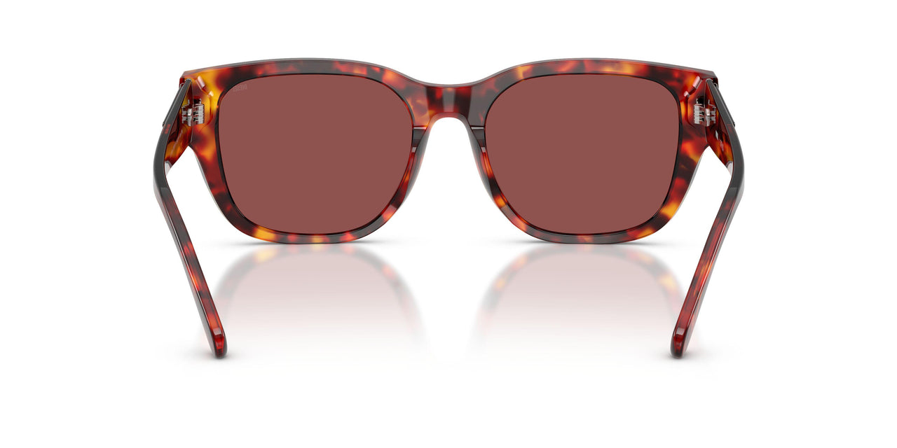 202375 - Tortoise - Dark Violet/red