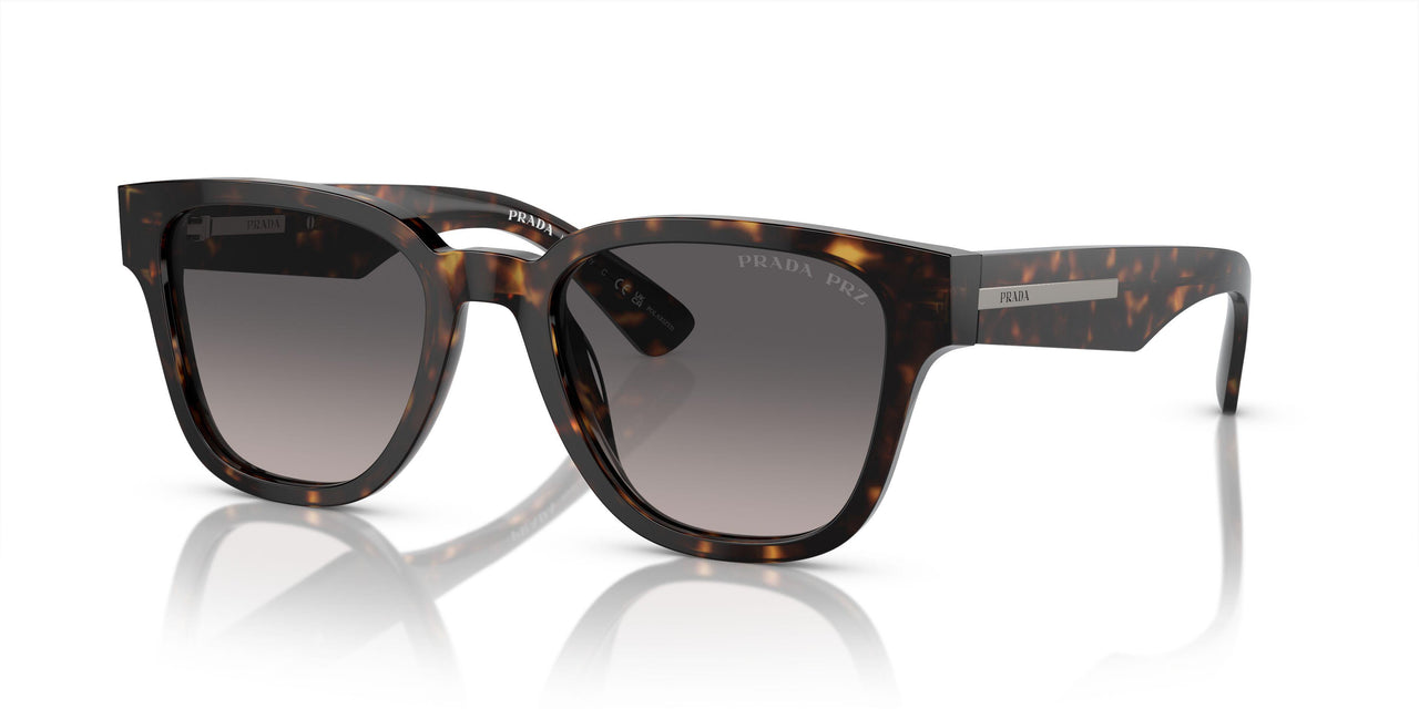 19J09G - Tortoise - Polarized Grey Gradient
