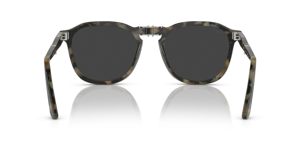 107148 - Tortoise - Polar Dark Grey