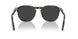 107148 - Tortoise - Polar Dark Grey