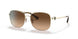 900574 - Gold - Brown Gradient
