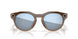 800206 - Brown - Prizm Deep Water Polarized