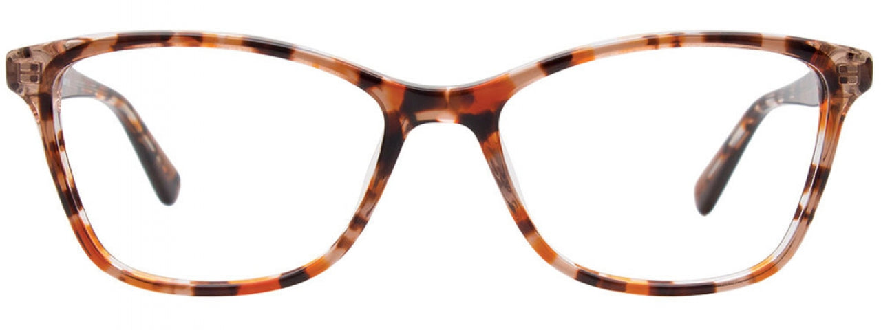 10 - Brown Tortoise