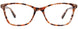 10 - Brown Tortoise