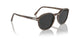 120848 - Tortoise - Polar Black Grey