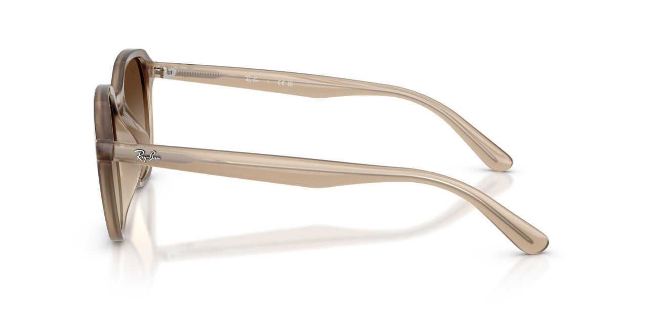 616613 - Beige - Gradient Brown