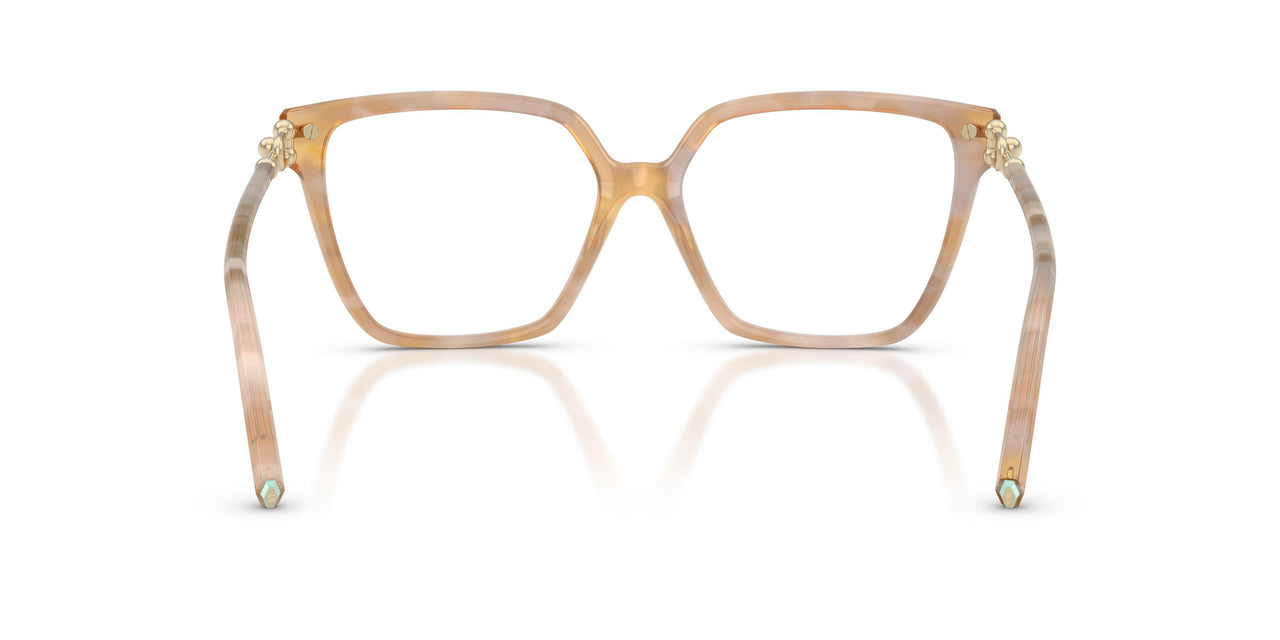8451 - Tortoise