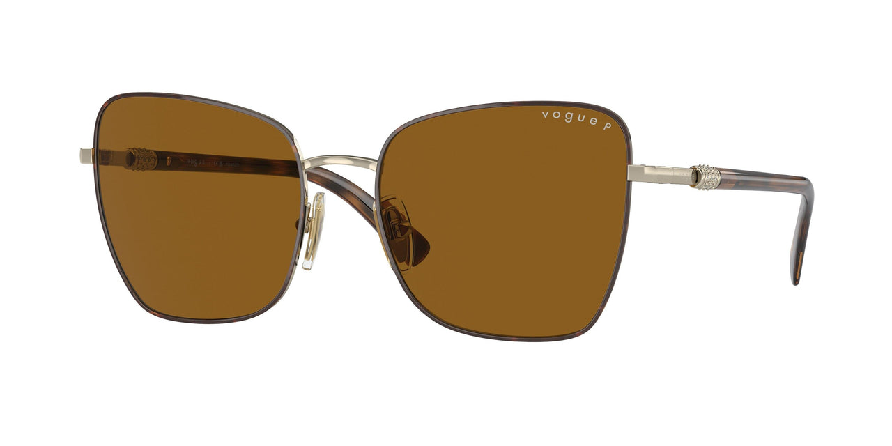 507883 - Havana - Polar Dark Brown