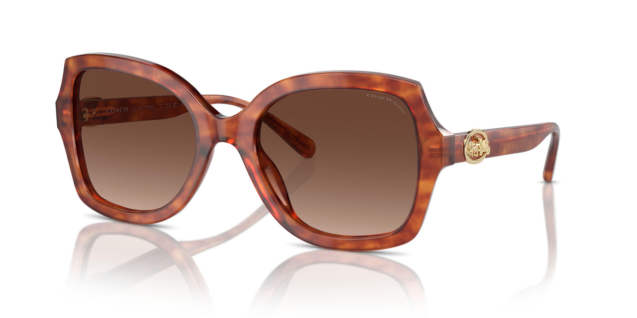 5774T5 - Tortoise - Brown Gradient Polarized