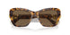 104073 - Tortoise - Dark Brown