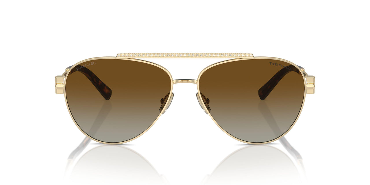 6208T5 - Gold - Polarized Brown Gradient
