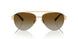 6208T5 - Gold - Polarized Brown Gradient