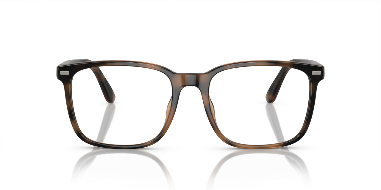 5974 - Tortoise