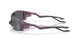 952909 - Violet - Prizm Black Polarized