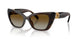 1084T5 - Brown - Polar Brown Gradient