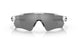 920851 - Matte Black - Prizm Black Polarized