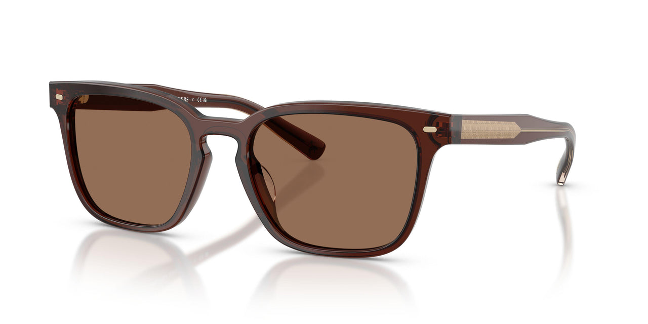617273 - Red - Solid Brown
