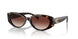 512013 - Havana - Dark Brown Gradient