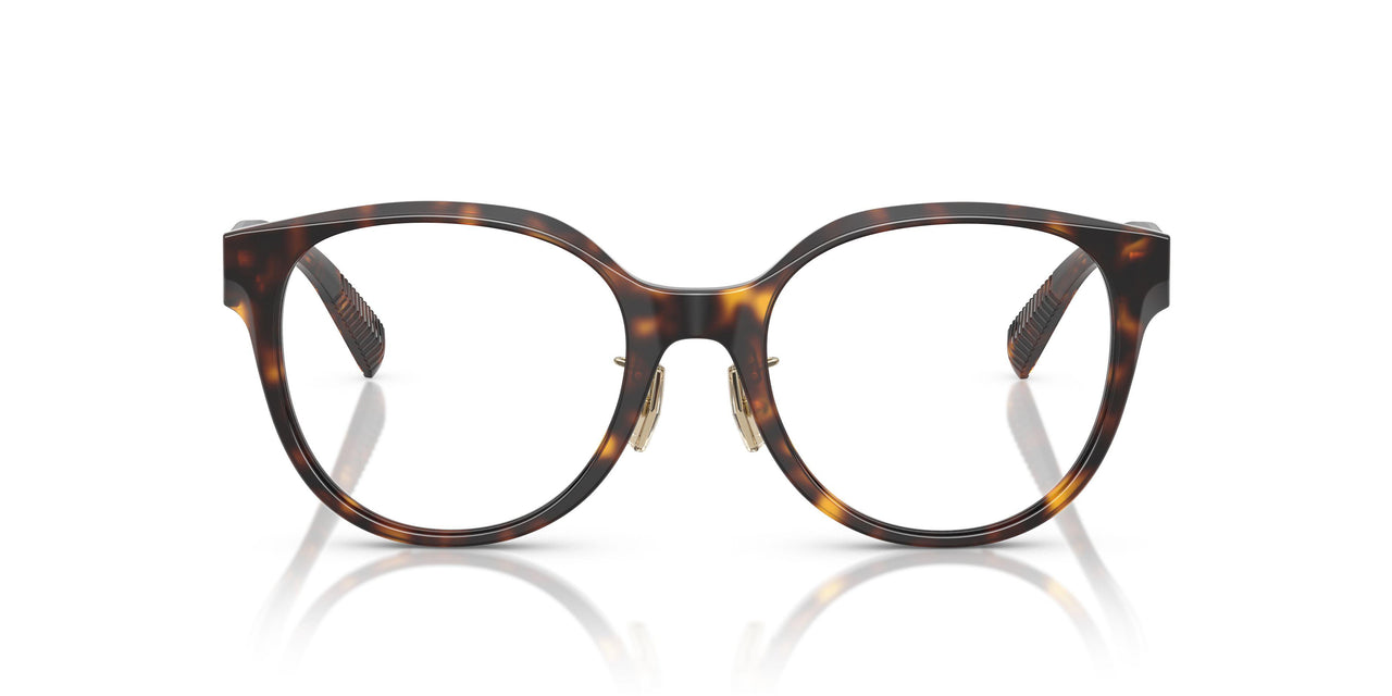 8015 - Tortoise