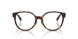 8015 - Tortoise