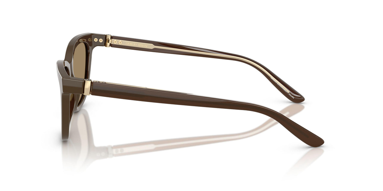 595753 - Brown - Brown