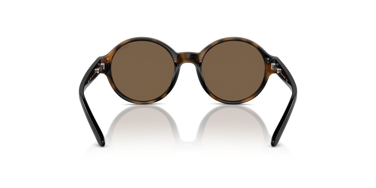 500373 - Brown - Brown