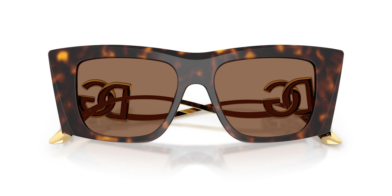 502/73 - Tortoise - Dark Brown