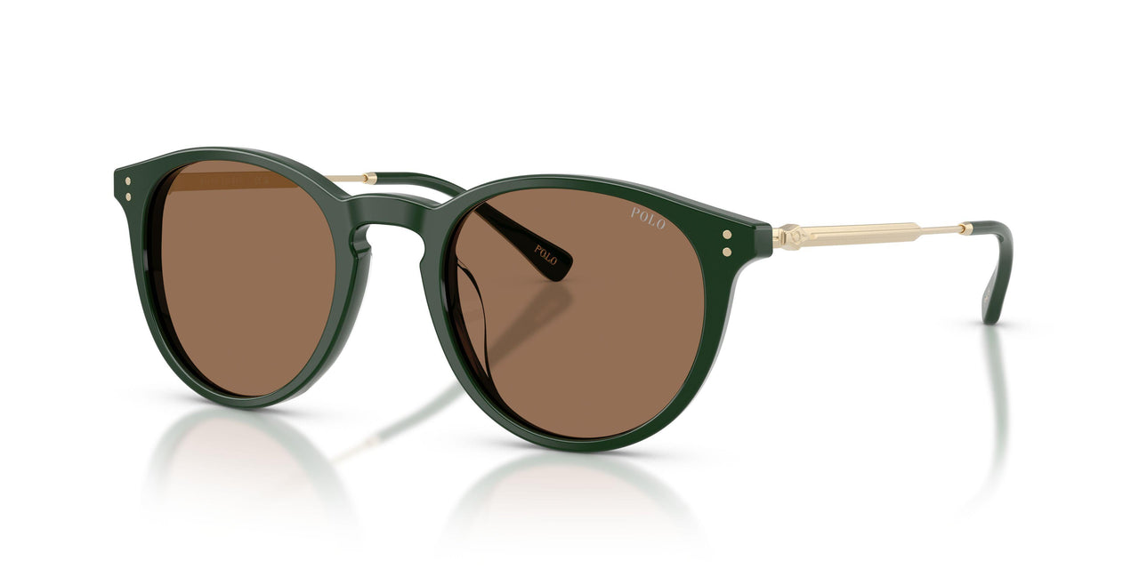 614073 - Green - Dark Brown
