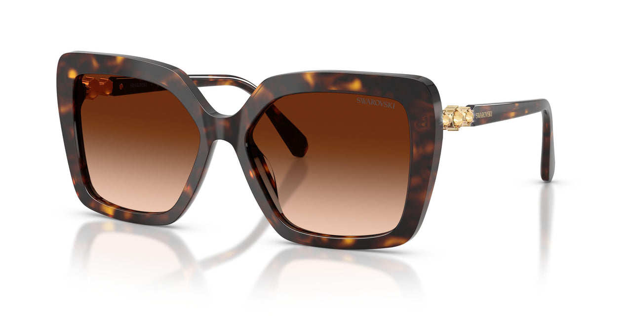 100274 - Tortoise - Gradient Brown
