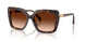 100274 - Tortoise - Gradient Brown