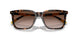 500313 - Tortoise - Gradient Dark Brown