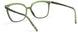 5530 - Deep Green