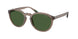 Polo 4232U Sunglasses