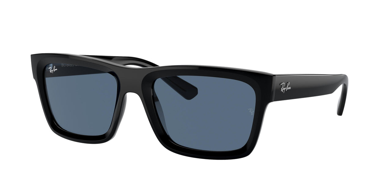 Ray-Ban Warren 4396 Sunglasses